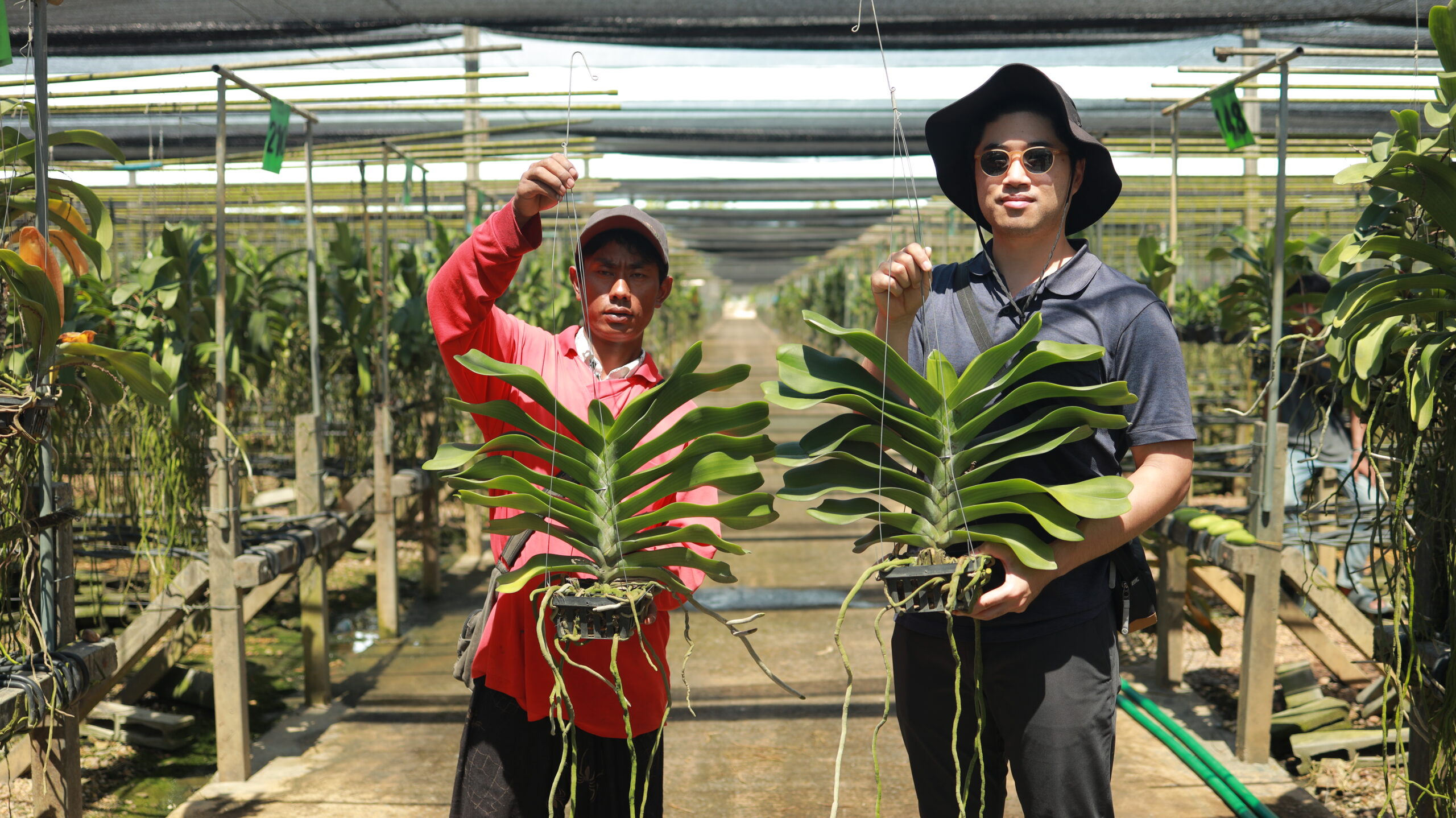 A Traveler’s Guide to Visiting Our Orchid Farms in Nakhon Pathom, Thailand
